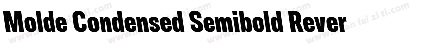 Molde Condensed Semibold Reverse字体转换
